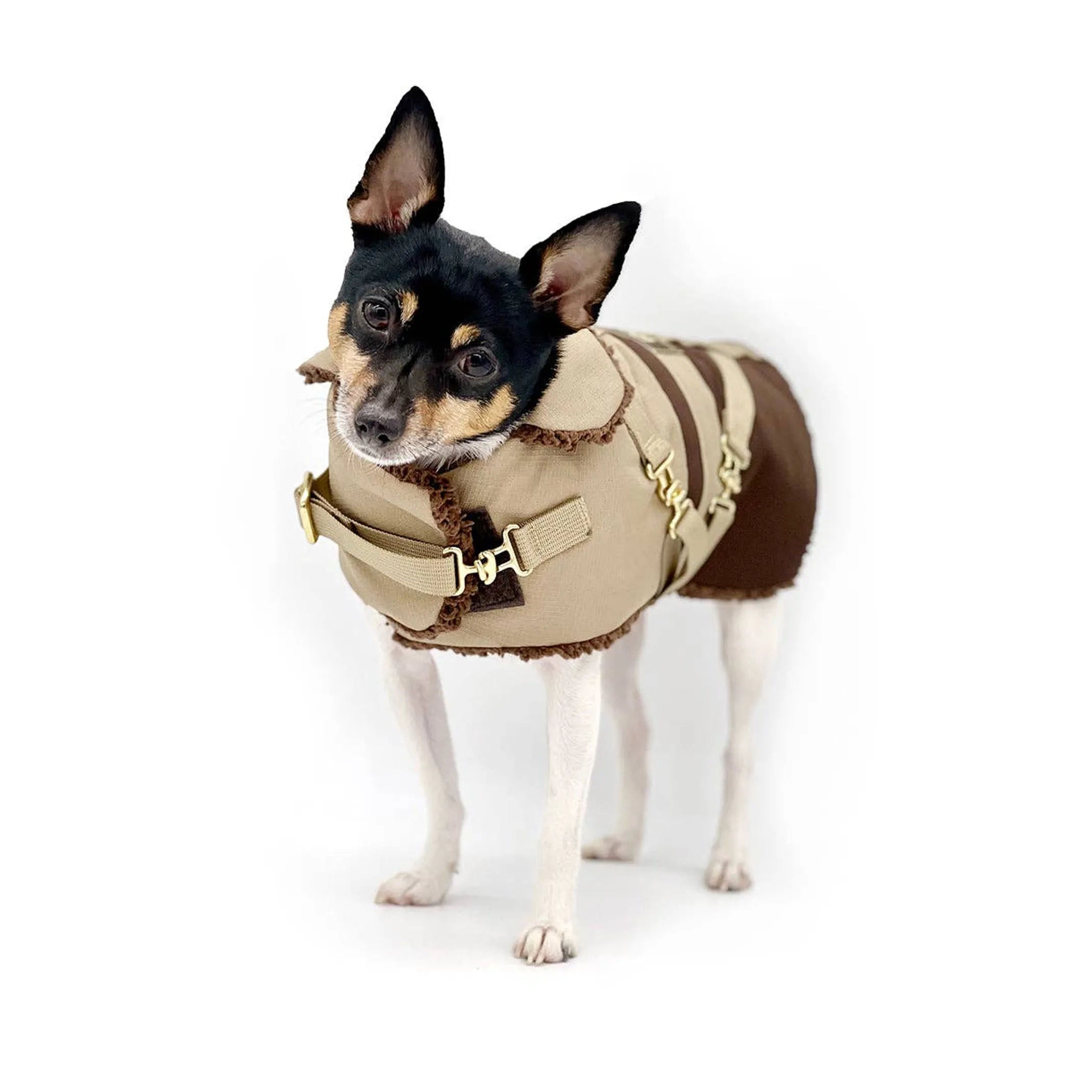 “Classic Mocha Latte” Dog Coat