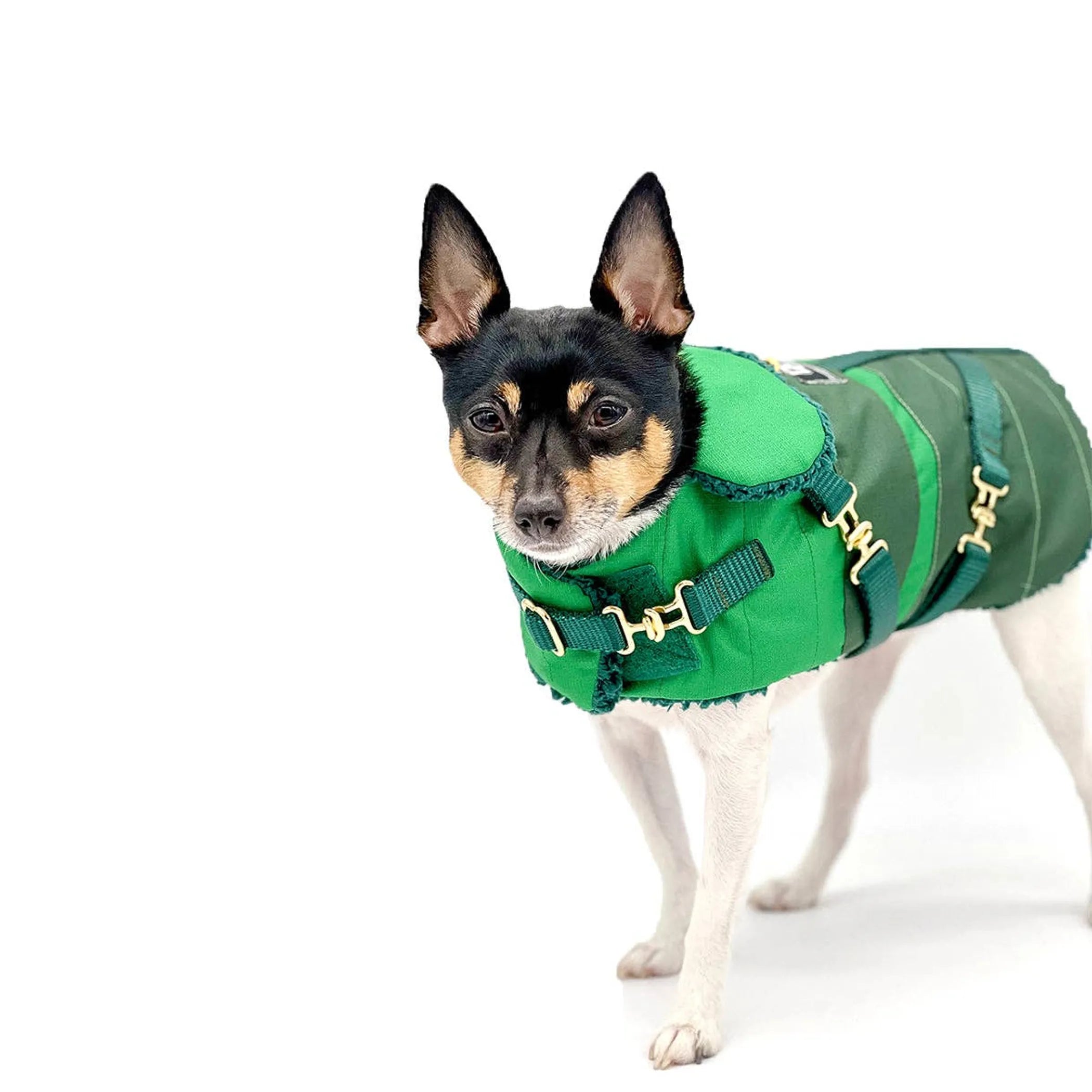 "Green with Envy" Dog Coat – Winter Jacket