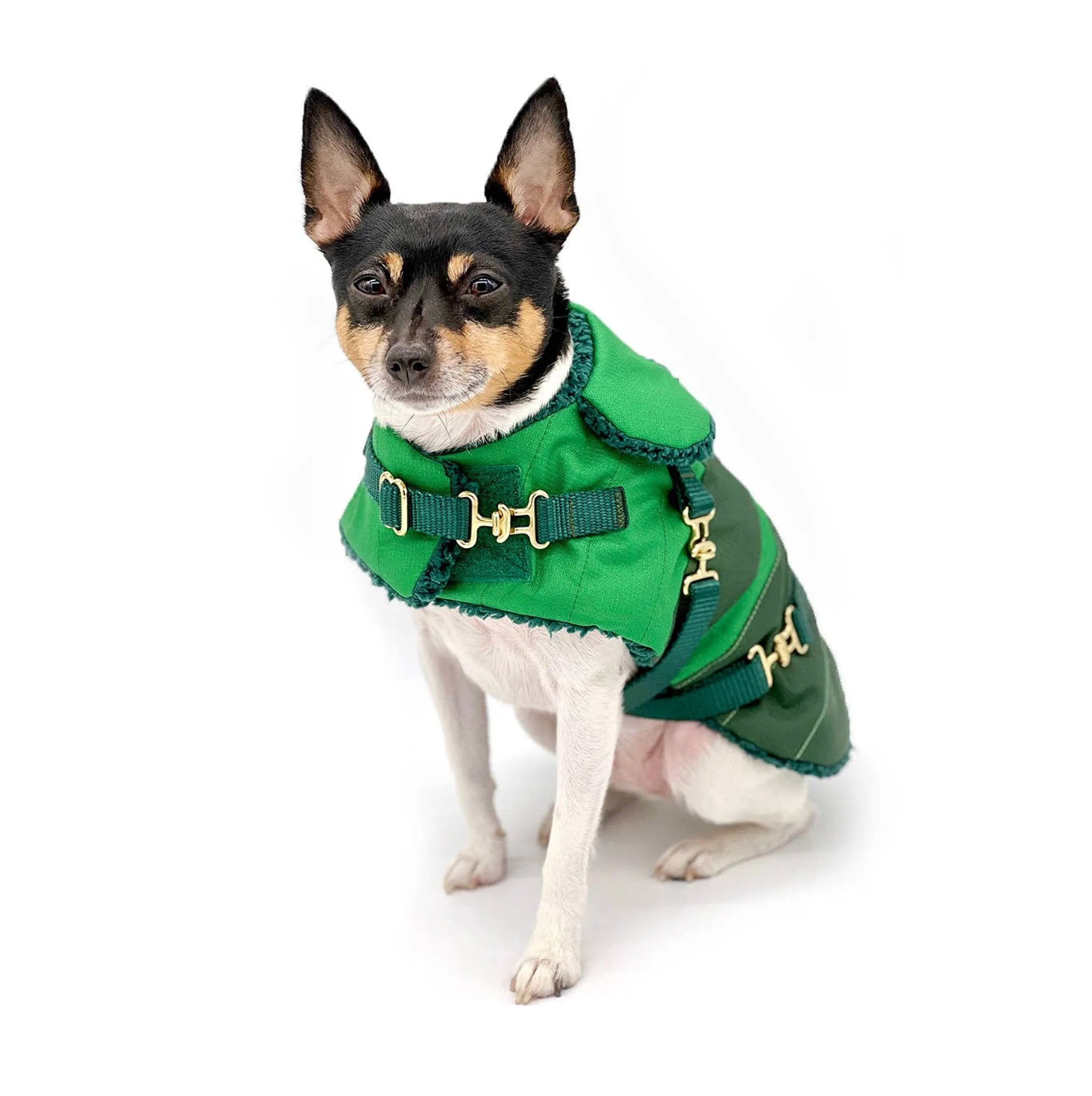 "Green with Envy" Dog Coat – Winter Jacket
