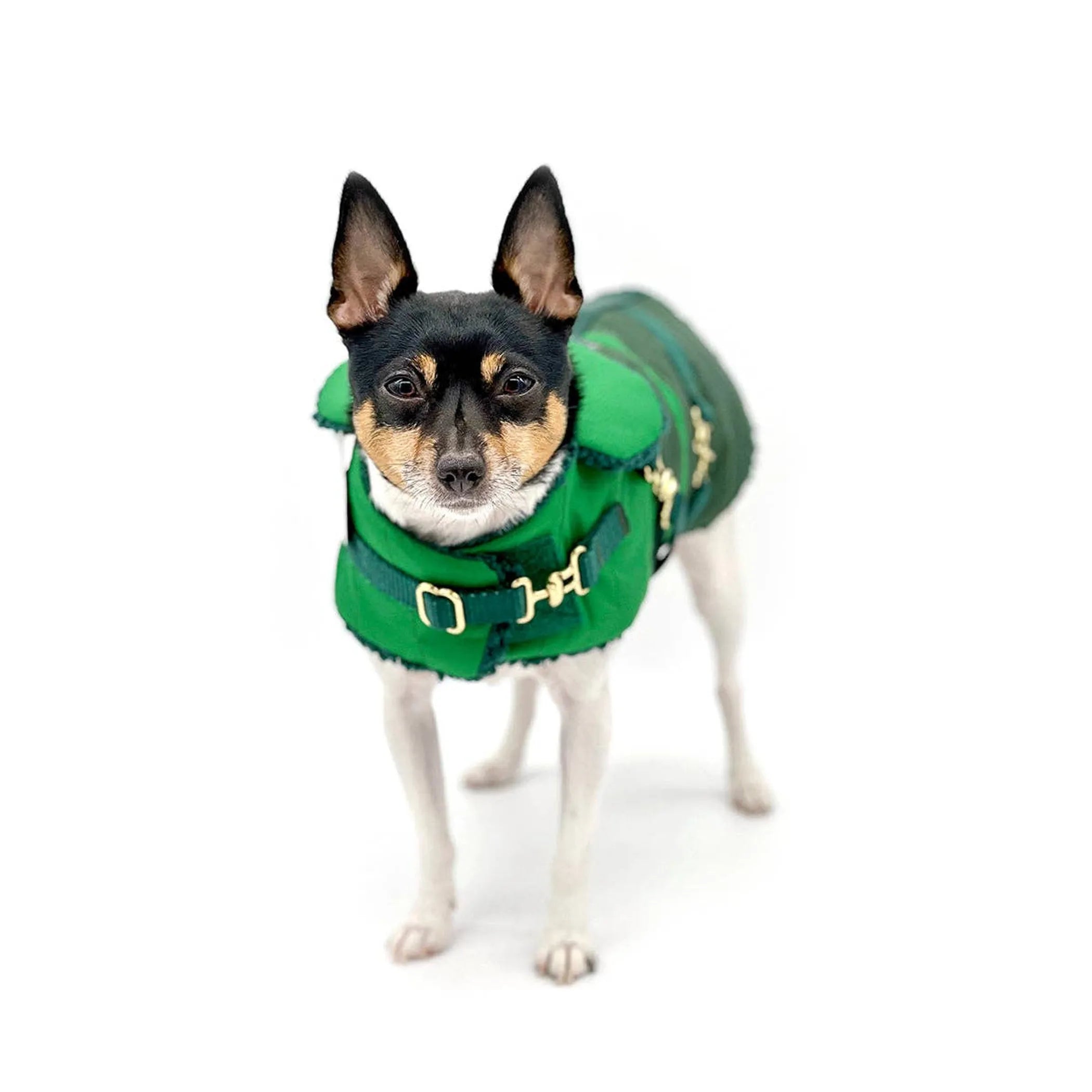"Green with Envy" Dog Coat – Winter Jacket
