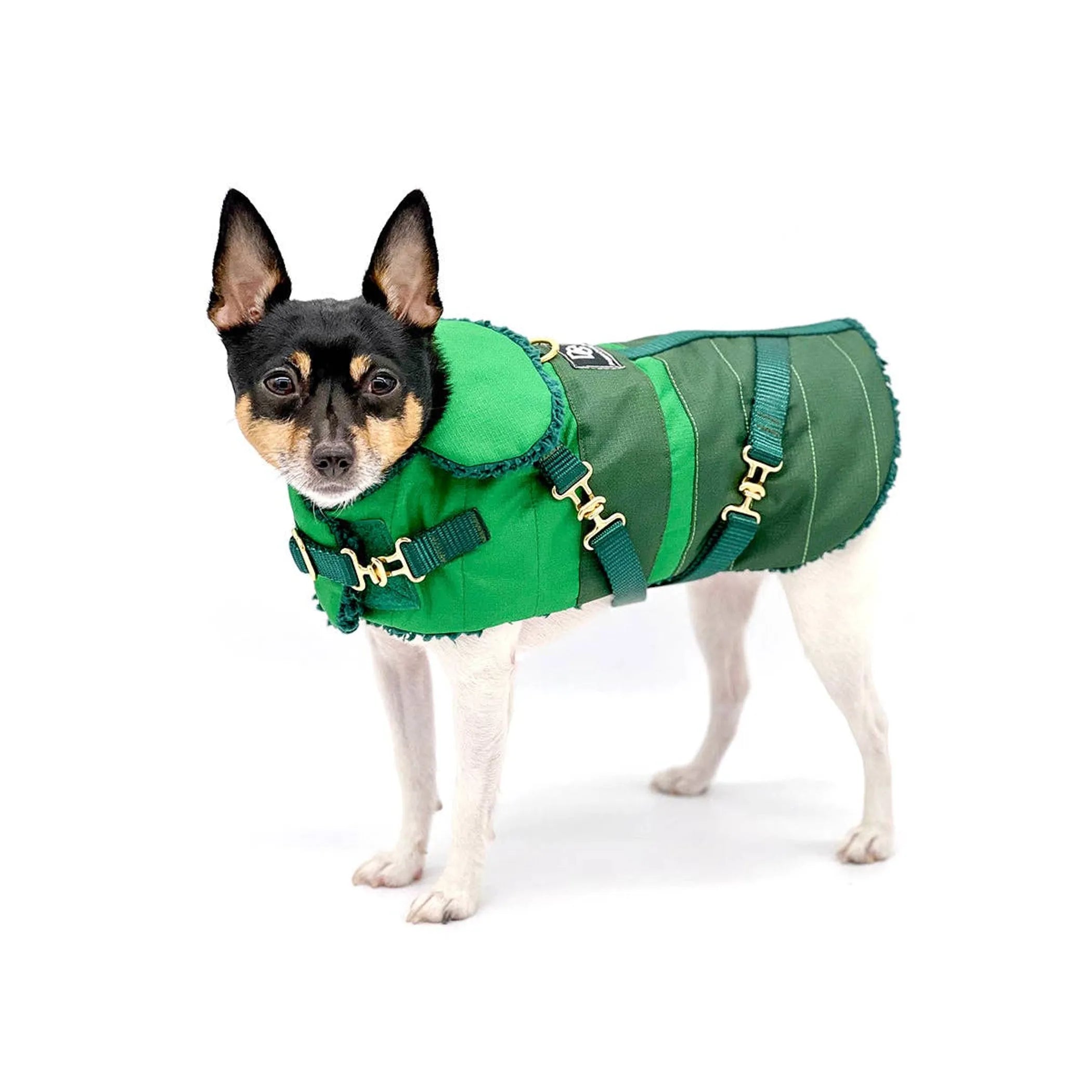 "Green with Envy" Dog Coat – Winter Jacket