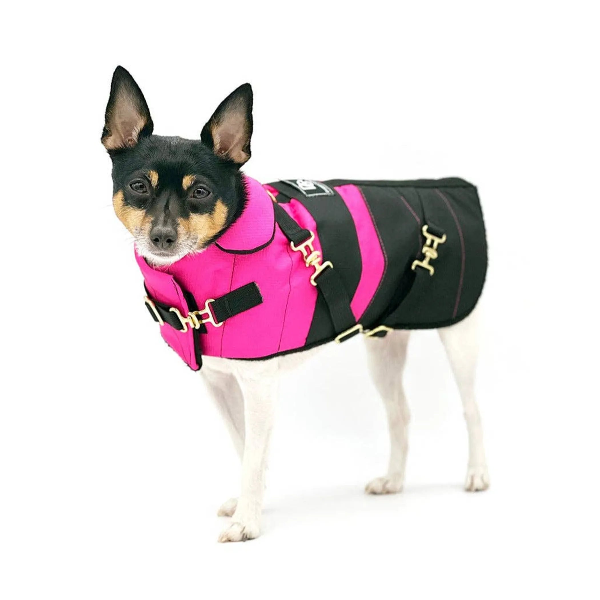 “Fun with Fuschia” Dog Coat