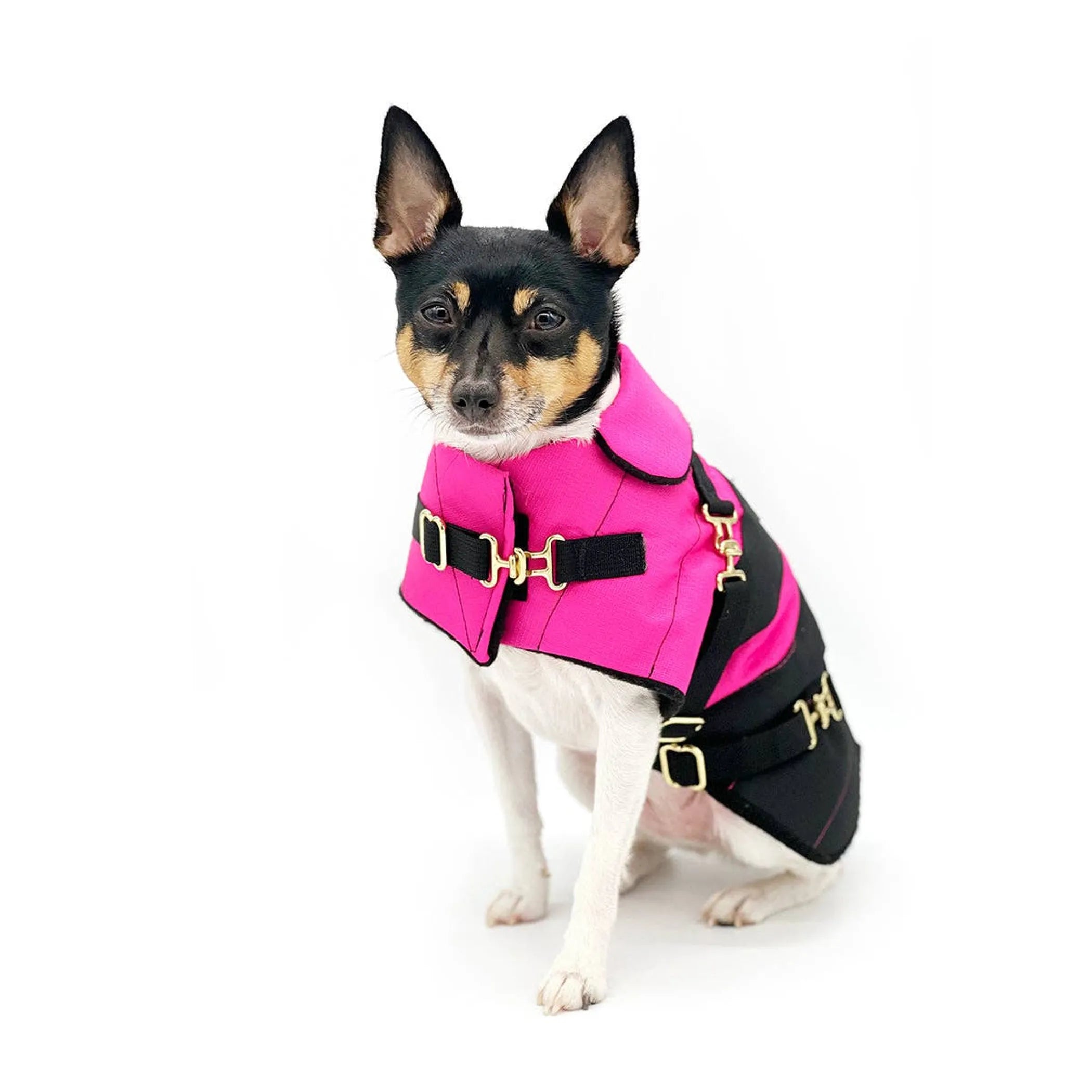 “Fun with Fuschia” Dog Coat