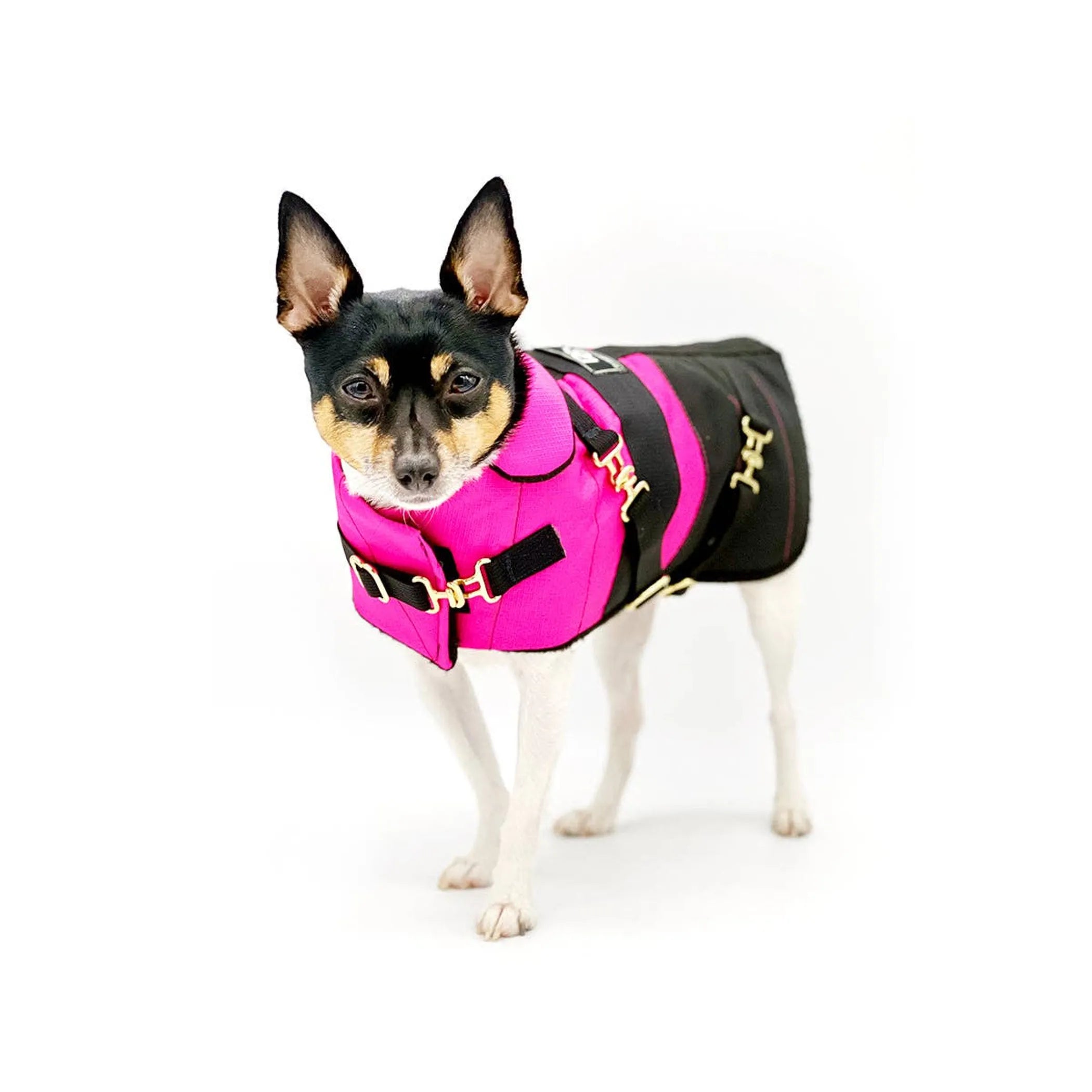 “Fun with Fuschia” Dog Coat