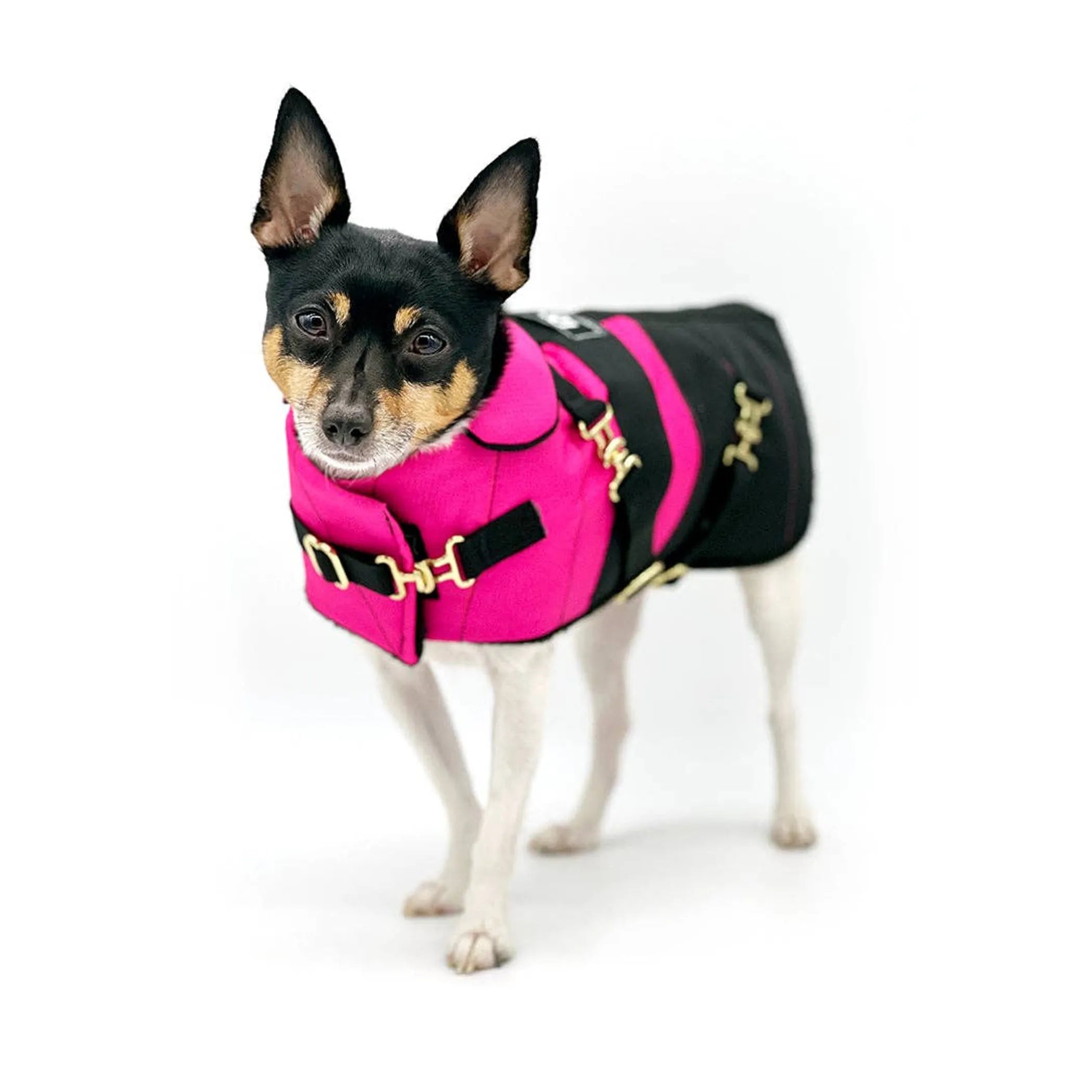 “Fun with Fuschia” Dog Coat