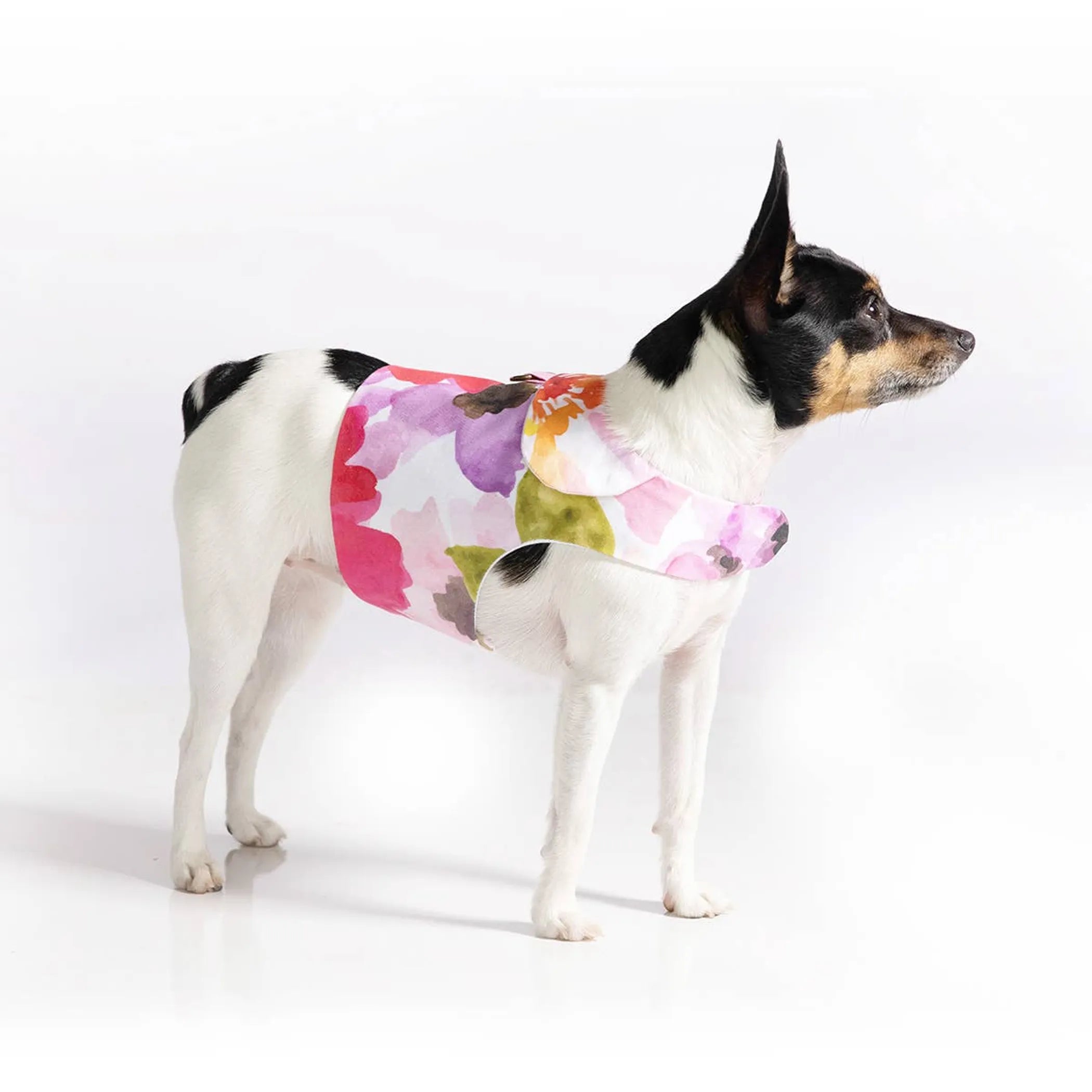 Fine Art Frolic” Pink Vest-Style Dog Harness – Floral Watercolor Design