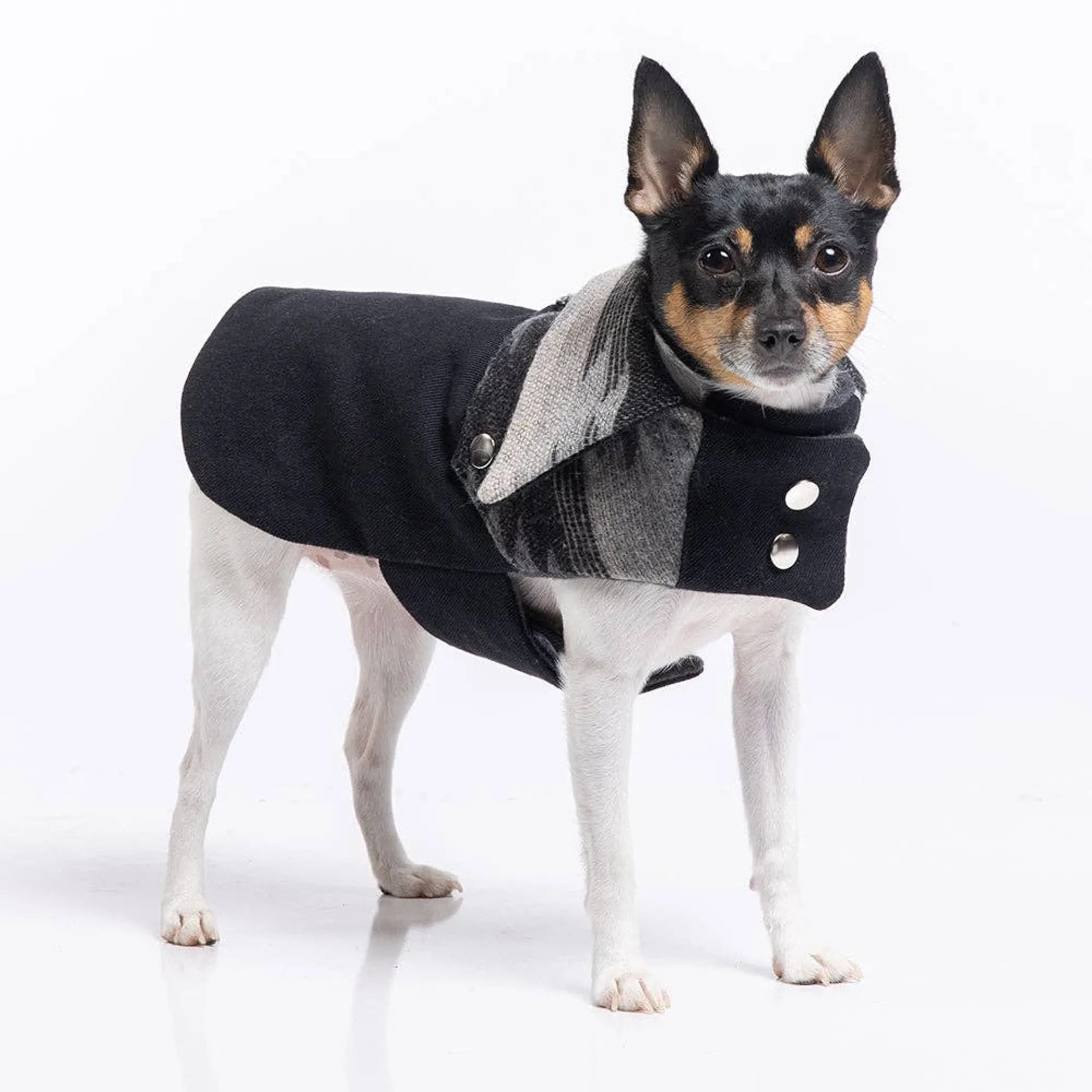 Ranch Coat for Dogs – Southwestern Denim & Wool Western-Style Dog Coat