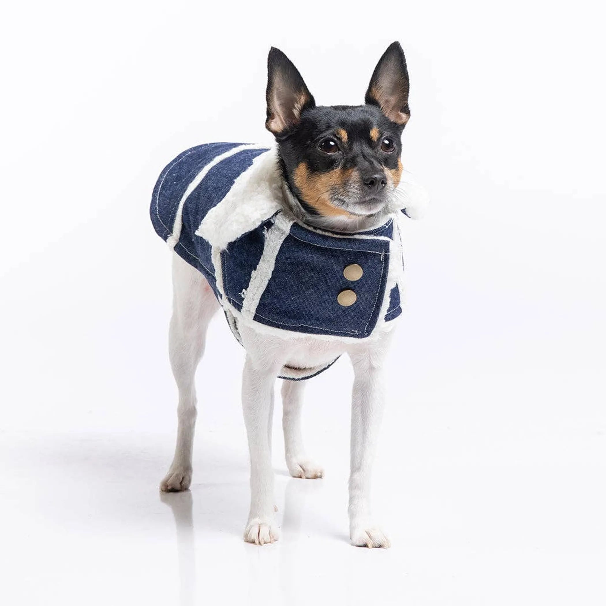 Ranch Coat for Dogs – Southwestern Denim & Wool Western-Style Dog Coat