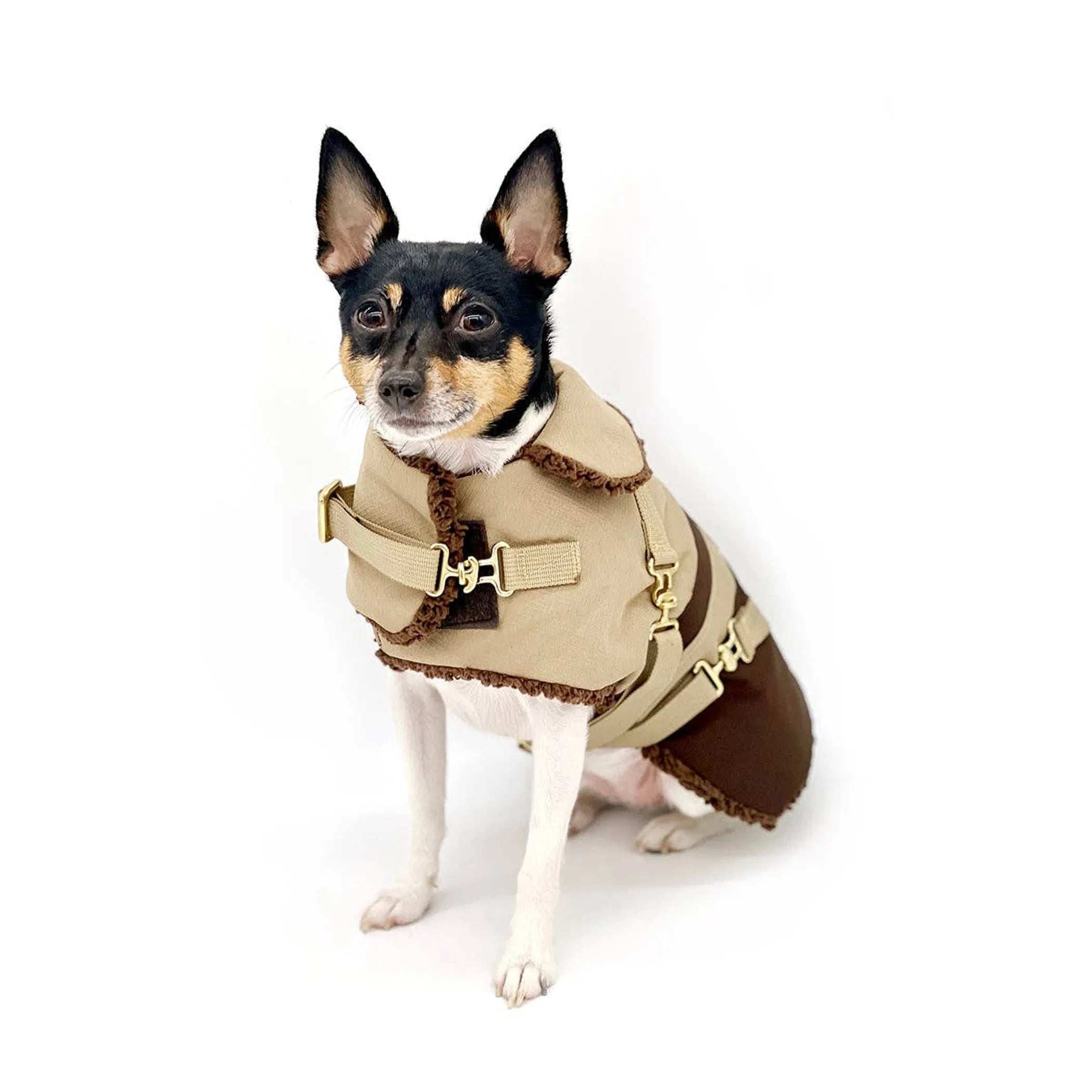 “Classic Mocha Latte” Dog Coat