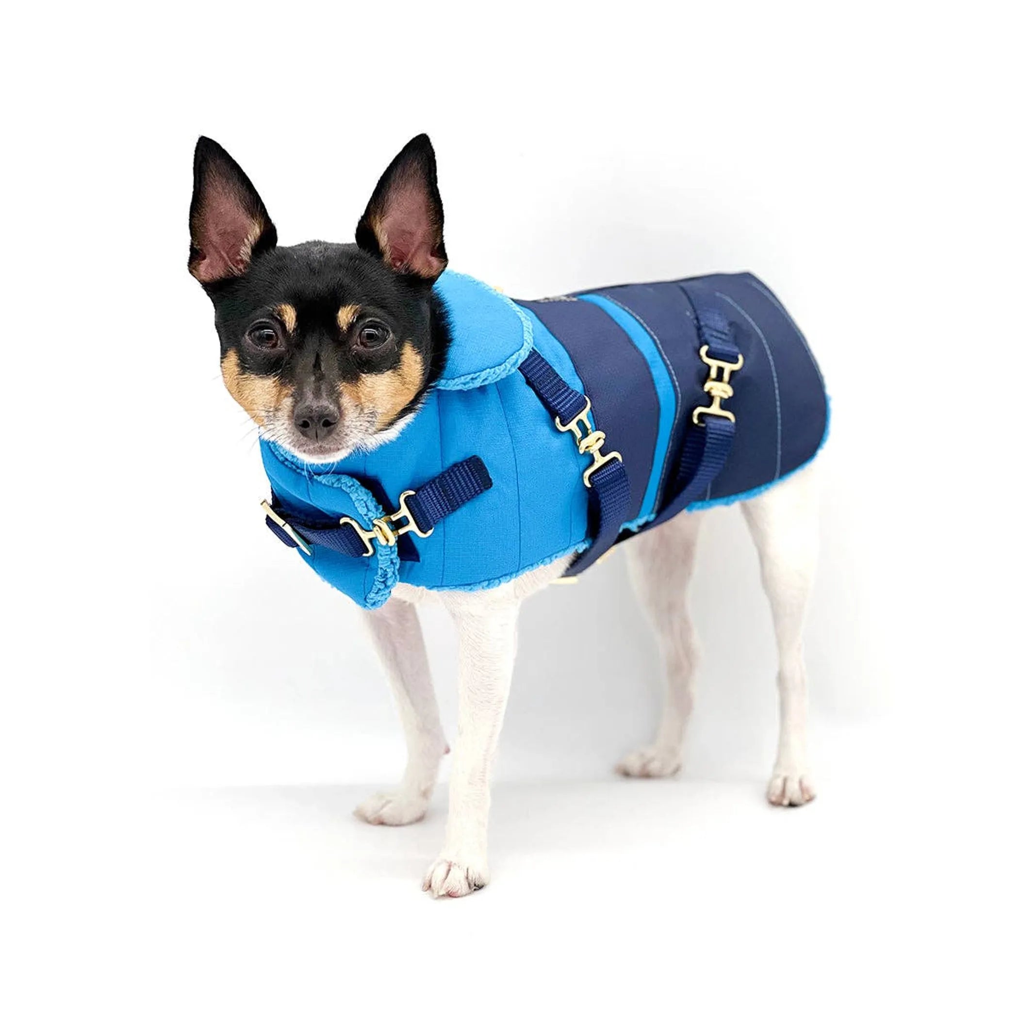 "Clear Blue Sky" Dog Coat – Winter Jacket
