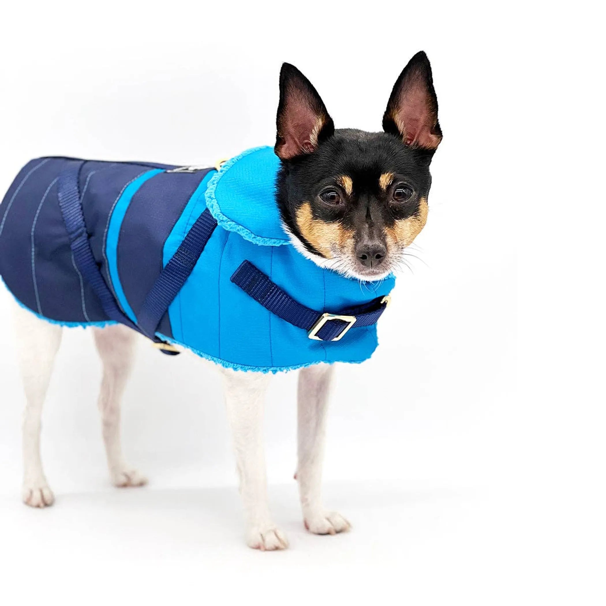 "Clear Blue Sky" Dog Coat – Winter Jacket