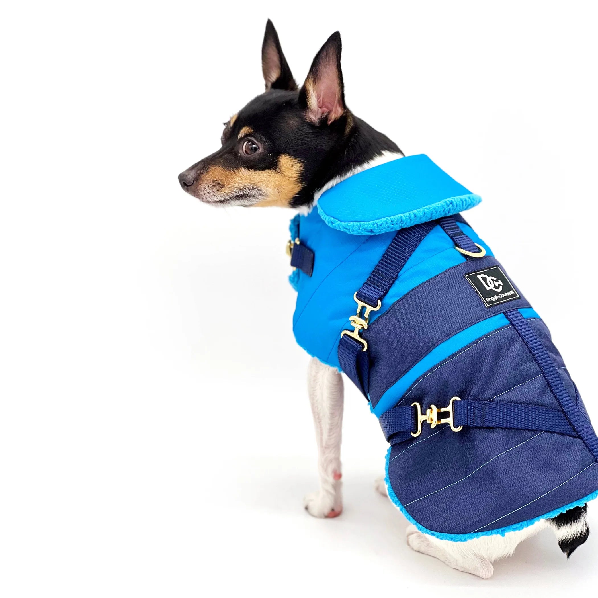 "Clear Blue Sky" Dog Coat – Winter Jacket