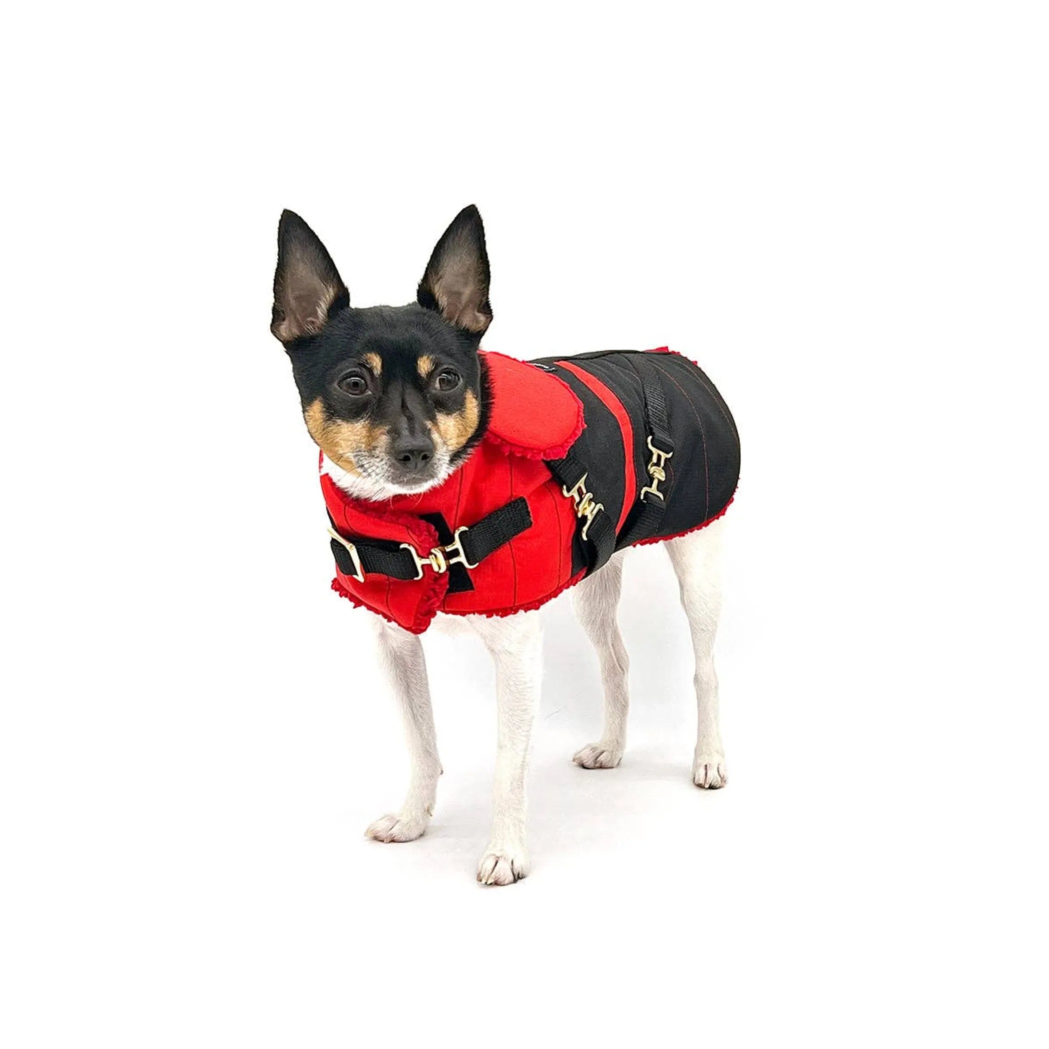 “Ruby Red” Dog Coat – Winter Jacket