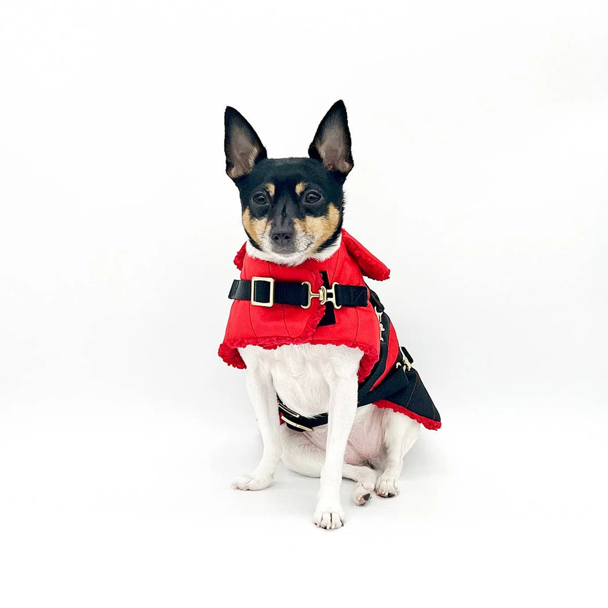 “Ruby Red” Dog Coat – Winter Jacket