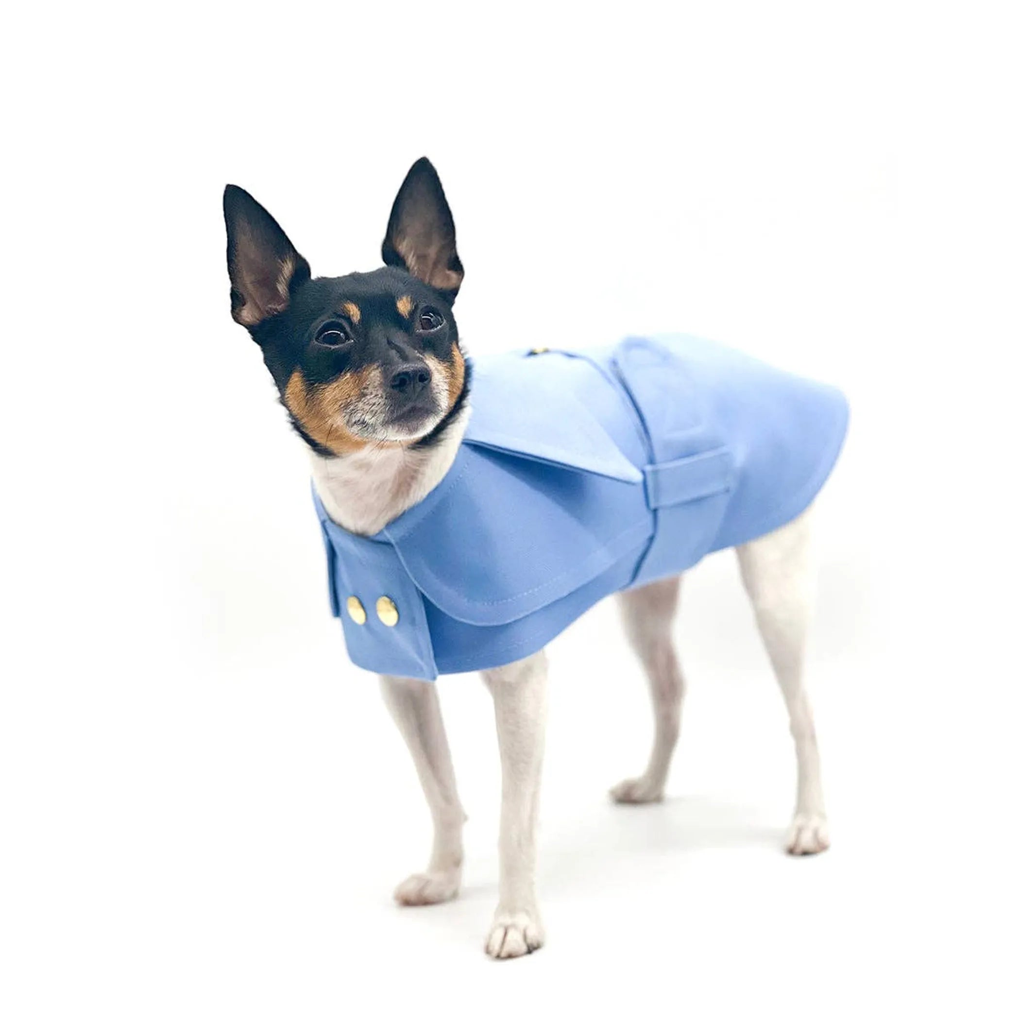 Belted Trench Coat for Dogs – Classic Cotton Canvas Spring Dog Coat