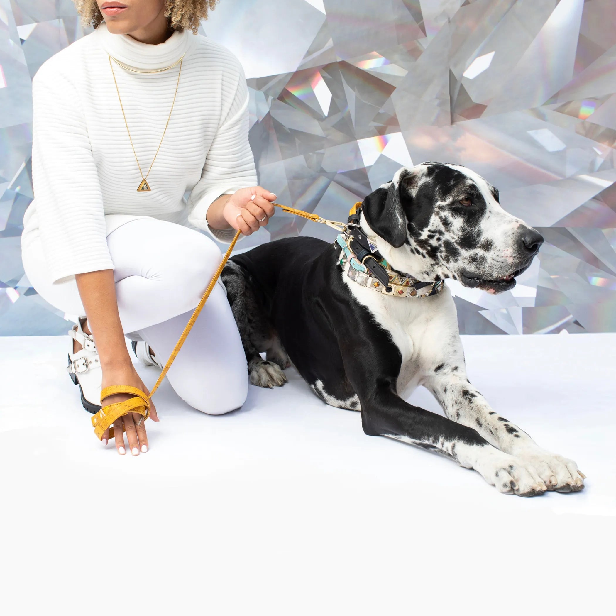 Midnight Black Cork Leather Dog Leash – Handmade Vegan & Sustainable