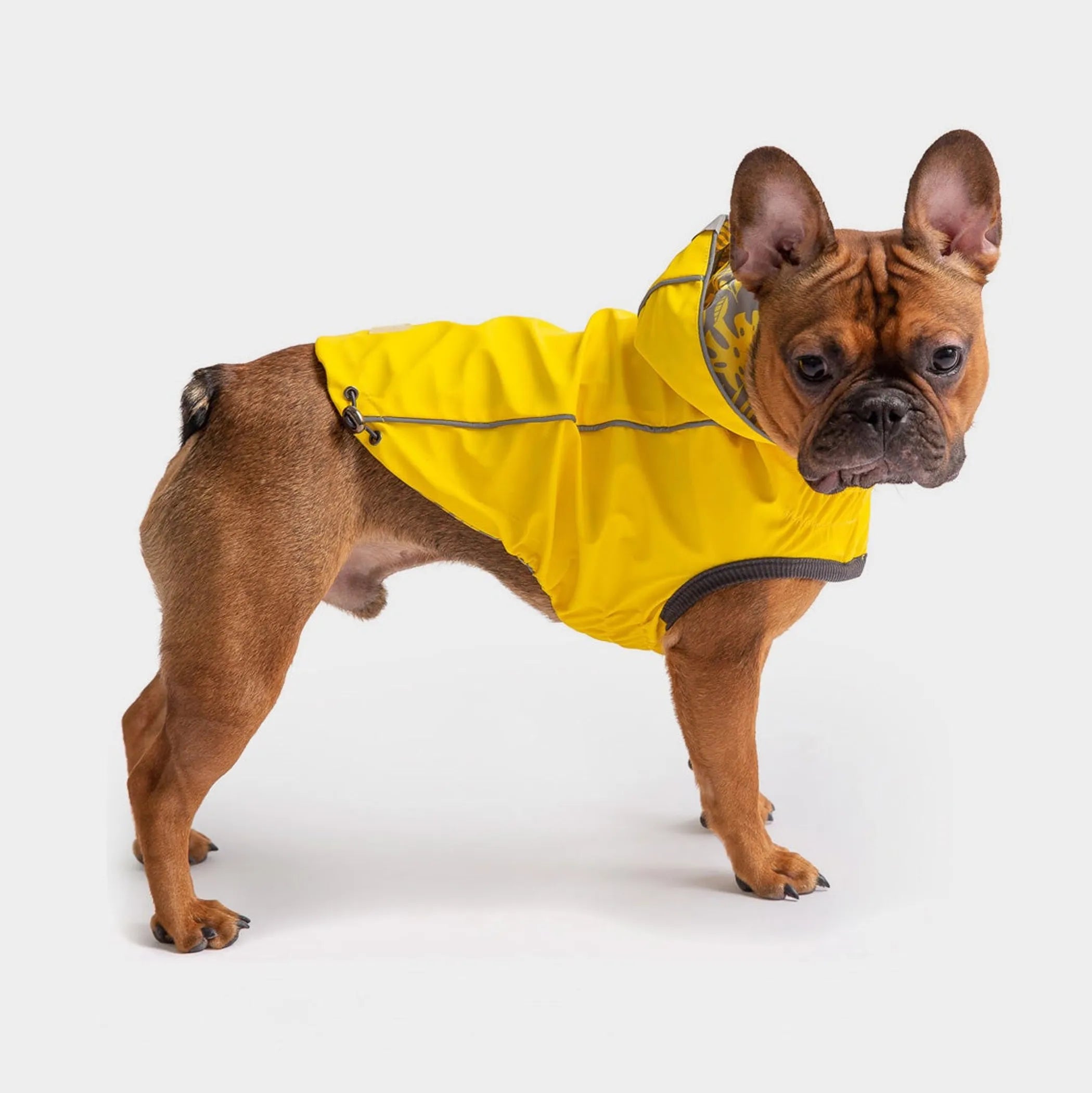 Pet Reversible Elasto-Fit Waterproof Dog Raincoat with Reflective Hood